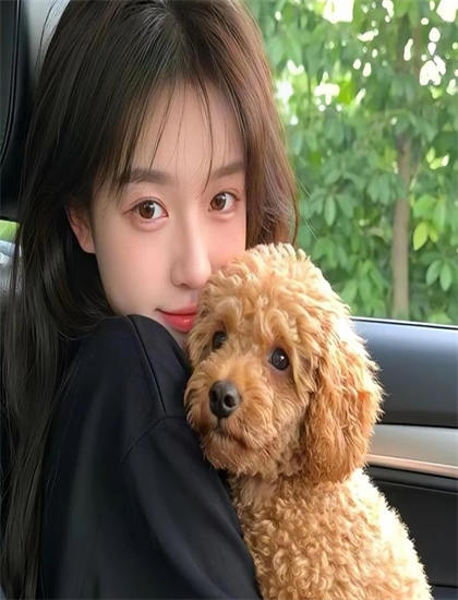 《弟弟的女朋友》媒体评价精彩绝伦的：主流媒体观点与专业影评解读